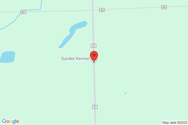 Sundor Kennel