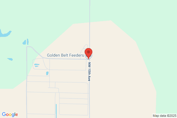 Golden Belt Feeders