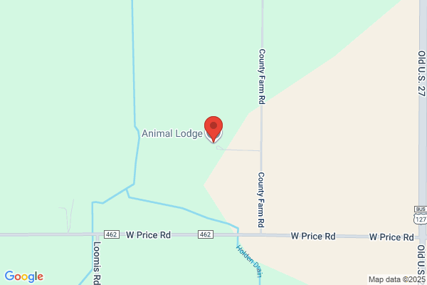 Animal Lodge the