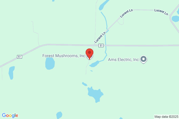 Forest Mushrooms Inc