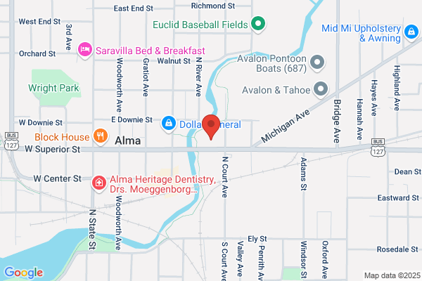 Alma City of, City Treasurer