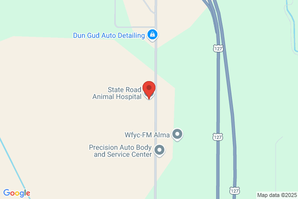 State Road Animal Hospital