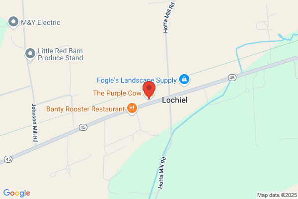 Purple Cow the