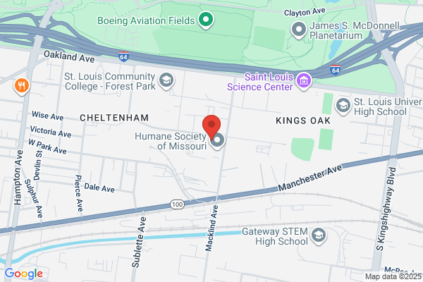 Animal Medical Center of Mid-America - St. Louis City