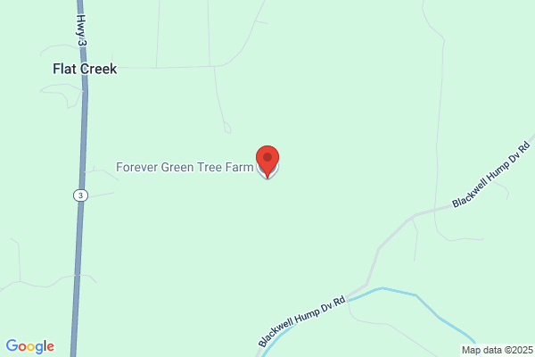 Evergreen Enterprises