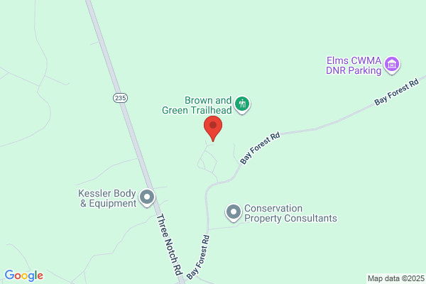 Bay Forest Tree Removal