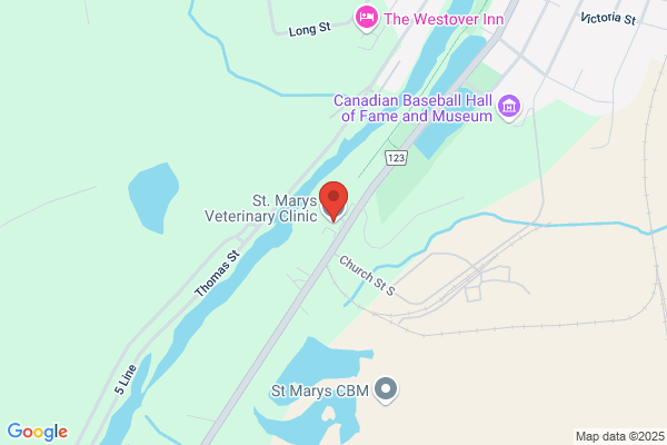 St Marys Vet Clinic