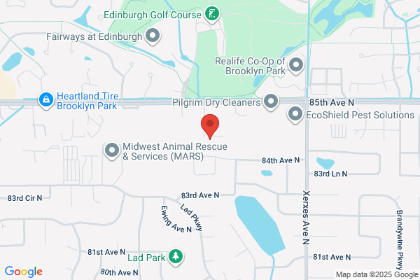 SERVICE STAR PLUMBING LLC