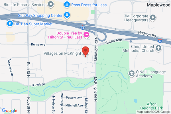 Villages on McKnight