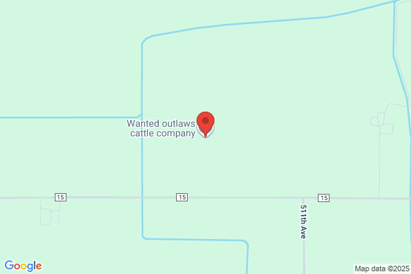 Nicollet Cattle Co Inc