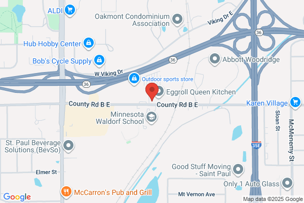 Mass Storage Systems Inc.
