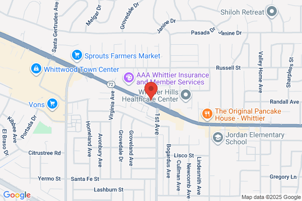 Amercian Lenders Service Company