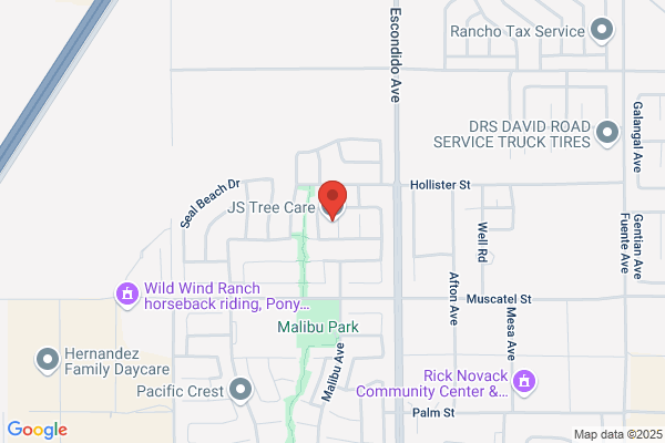 J & S Tree Service
