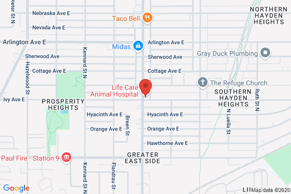 Life Care Animal Hospital