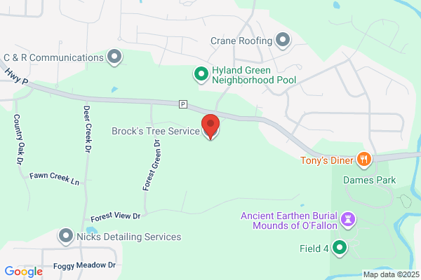 Brock's Tree Service