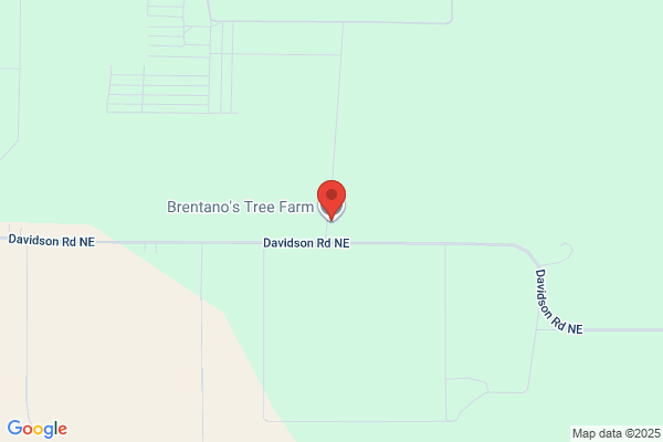 Brentano's Tree Farm