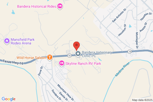 K & M Automotive