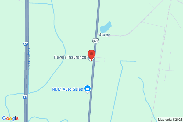 Revels Motor Sales Inc