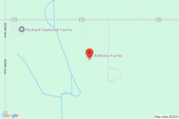 Anthony & Anthony