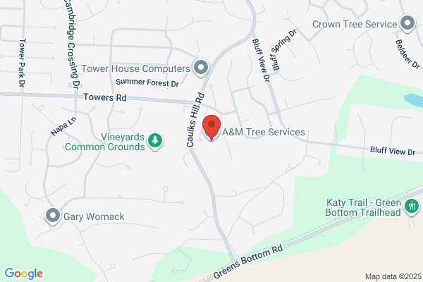 A&M Tree Services LLC