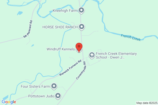 Windruff Kennels