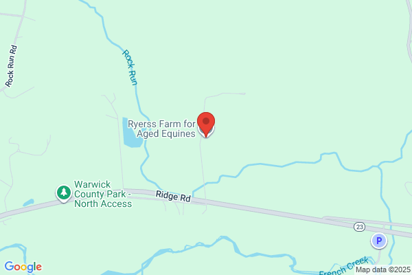 Ryerss Farm For Aged Equines