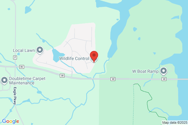 Wildlife Control LLC