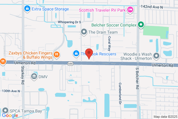 Water Plus of Pinellas Inc