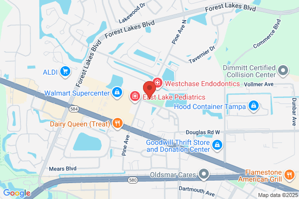 Oldsmar Fire Services Llc
