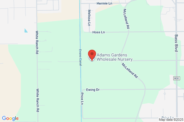 Adam's Nursery & Water Gardens Inc