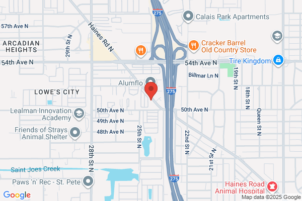 Roto-Rooter Plumbing & Drain Service
