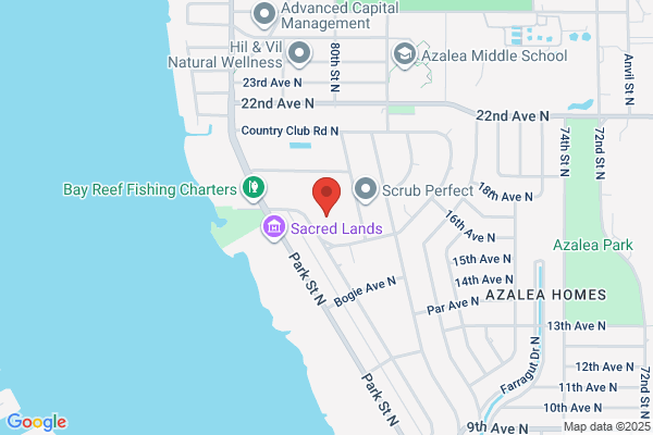 Meltem Birey | 1 Palm Realty