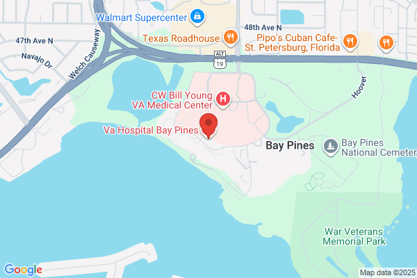 Bay Pines Travel