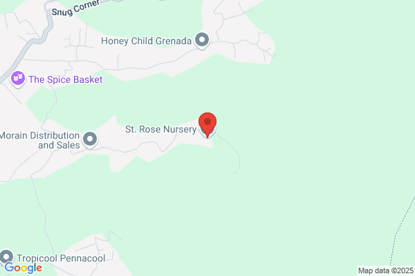 St Rose Nursery