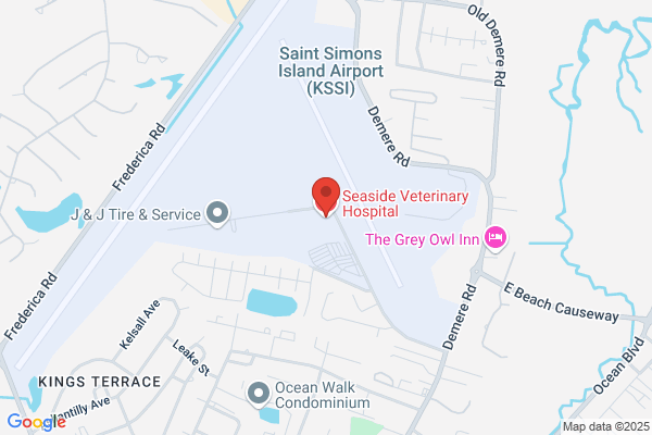 Seaside Veterinary Hospital