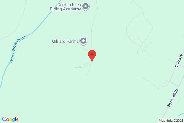 Georgia Land Man Inc