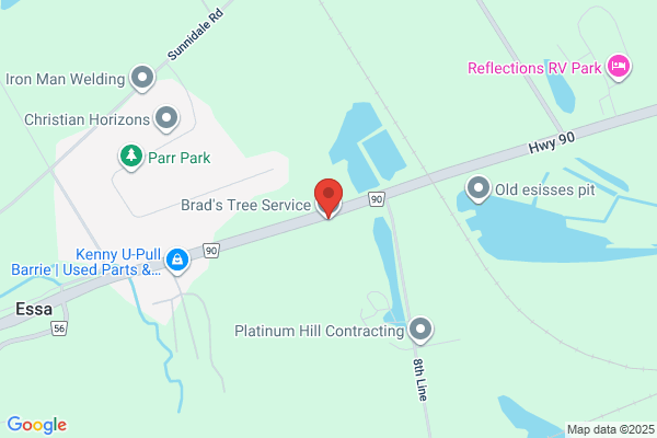 Brad's Tree Service