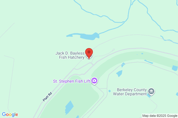 Jack Bayless Striped Bass Hatchery