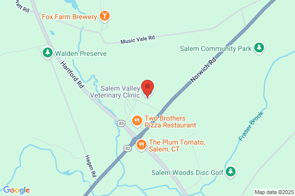 Salem Valley Equine Clinic