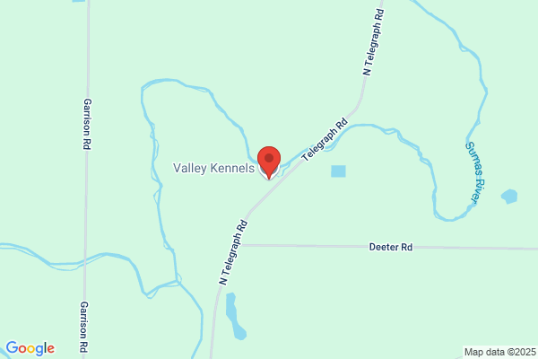 Warm Valley Kennels Llc