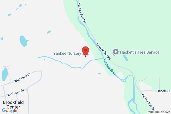 Yankee Nursery