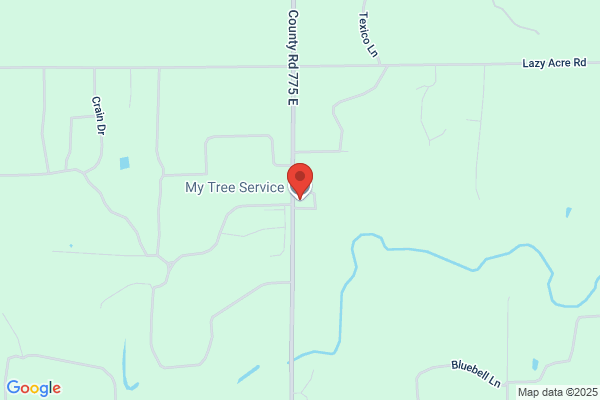 My Tree Service