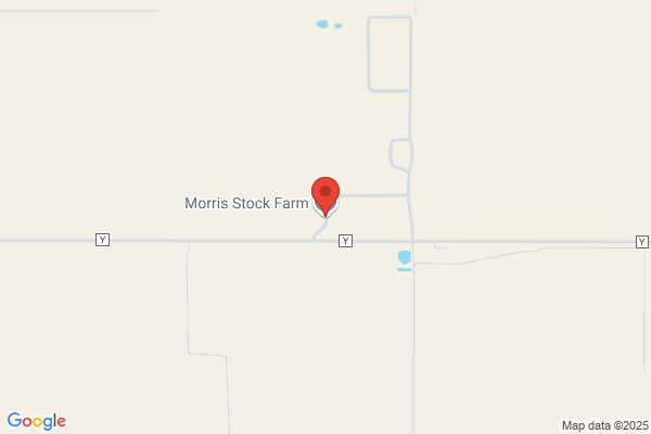Loyd Morris Artifical Breeding Cattle