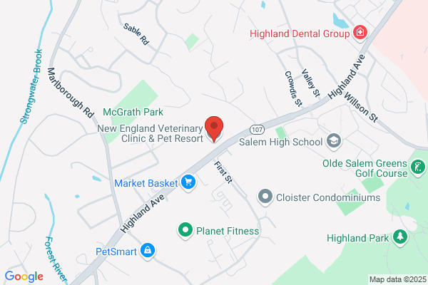 New England Vet Clinic