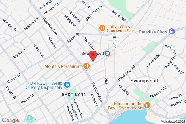 New England Microscope Service