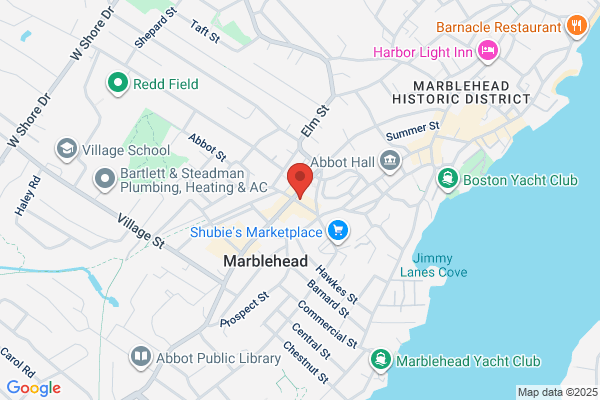 The Massachusetts Advocacy Group