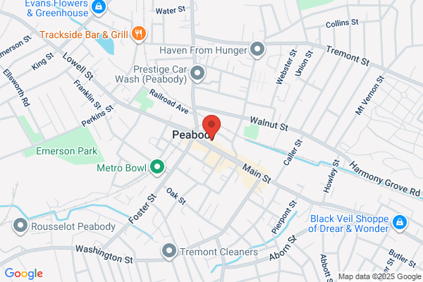 Brazilian Professional Services