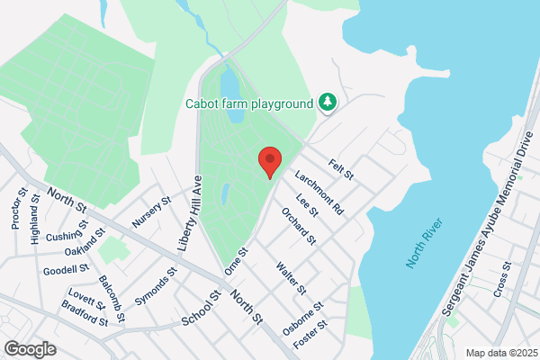 Salem City of, Cemetery