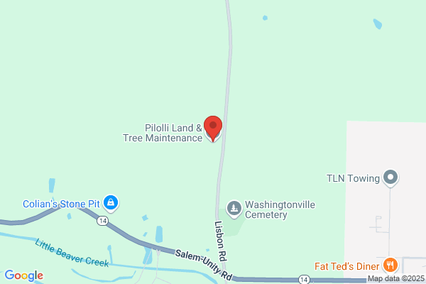 A-1 Tree Service