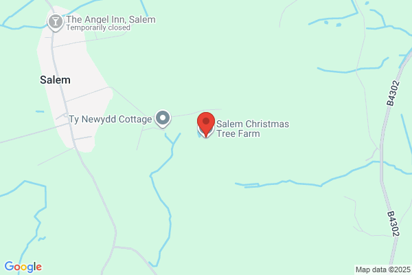 Salem Tree Farm